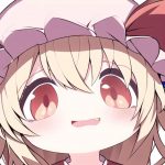 daixbu的头像-初学者